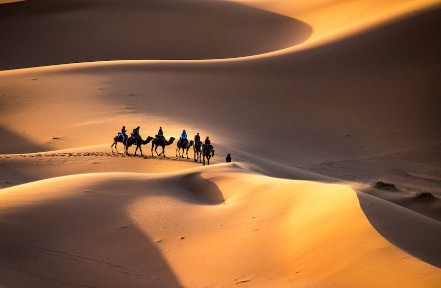 The Sahara Desert